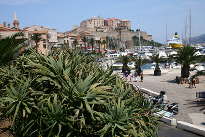 Sehenswertes in Calvi Sehenswertes in Calvi